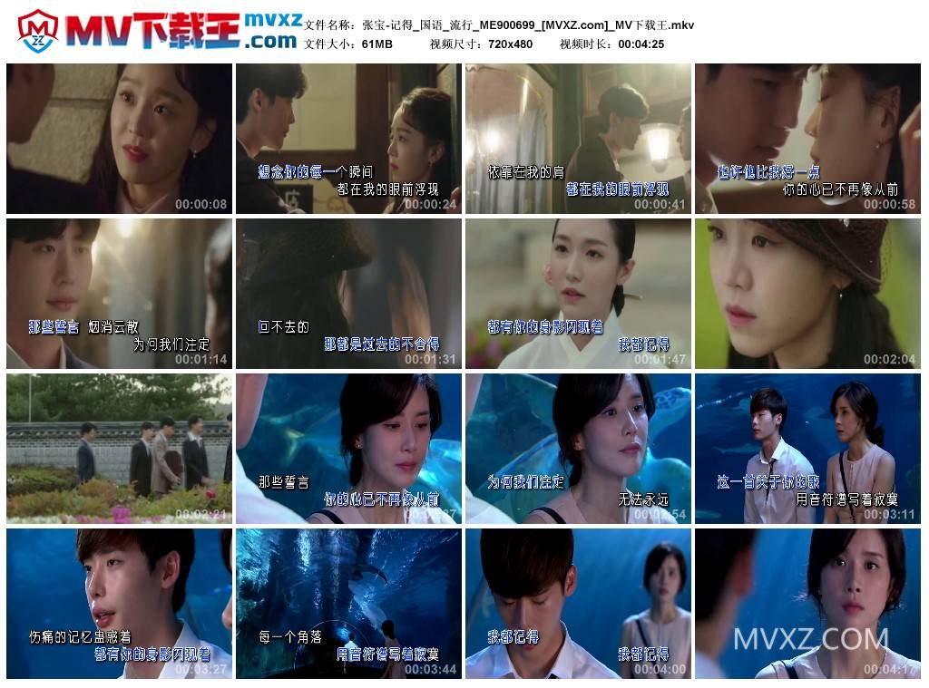 张宝-记得_国语_流行_ME900699